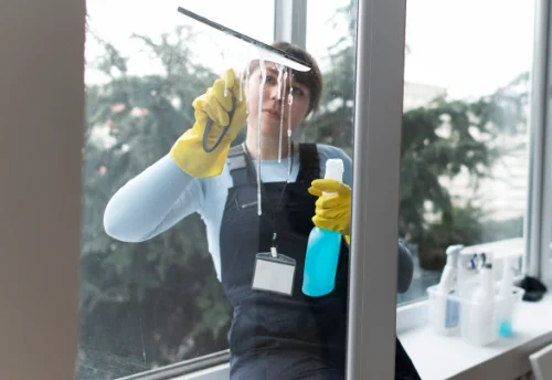 Nettoyage de vitres intérieures et extérieures à Laval-sur-Vologne